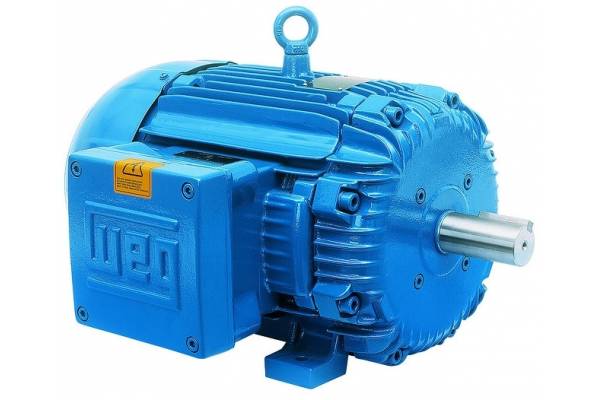 weg 00718xp3e213t three phase with base mount 1.jpeg